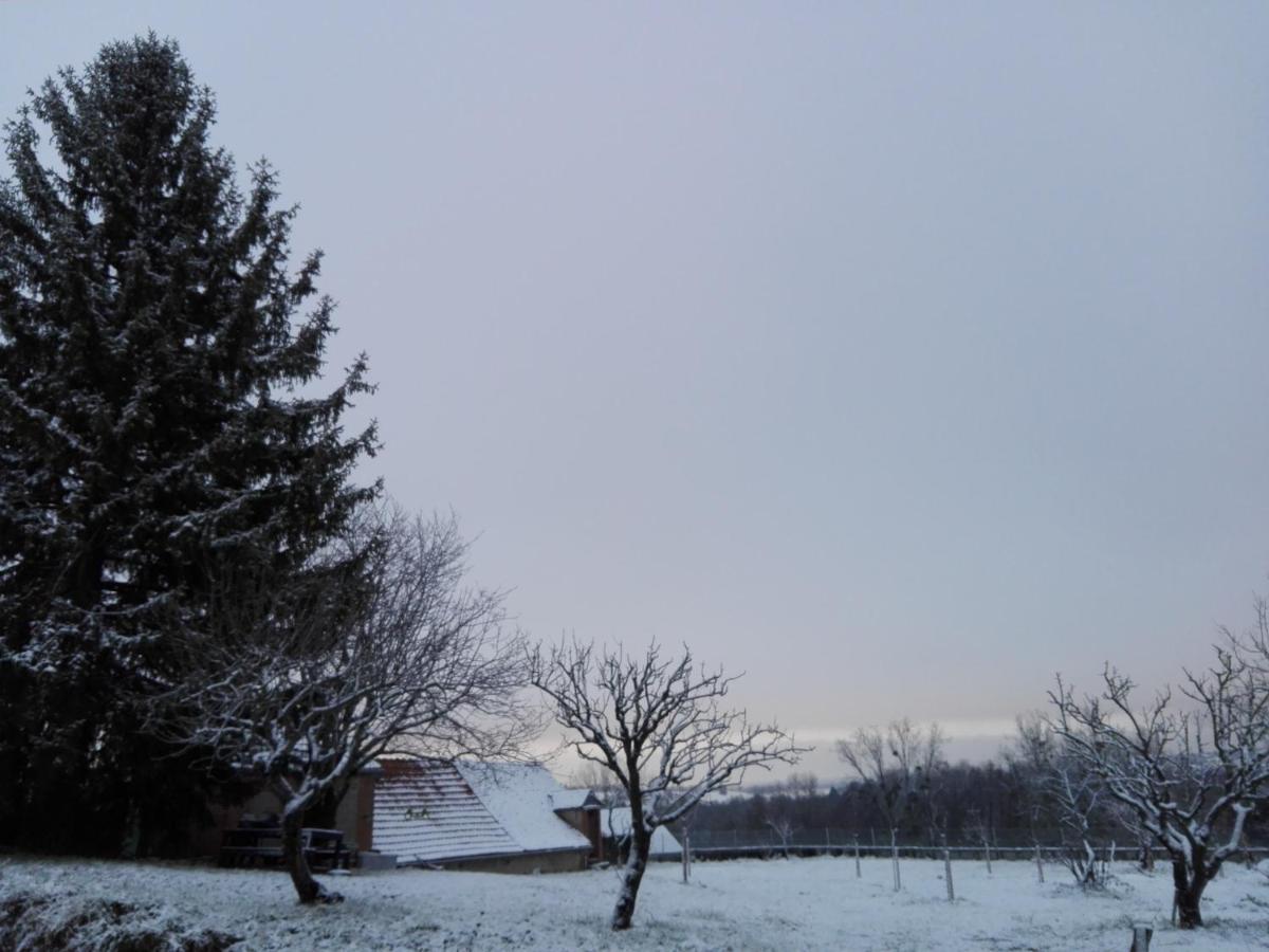 Chez Casimir Bed and Breakfast Cercy-la-Tour Exteriör bild